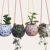 Round Splatter Hanging Planters - Choose your colours