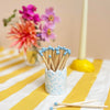Splatter Match Stick Holders - Choose Your Colours