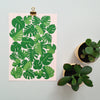 Cheese plant A4 Print