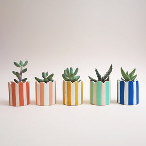 Mini Scalloped Stripy Pot - Choose Your Colours