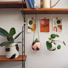 Large Brush Strokes Plant Pot