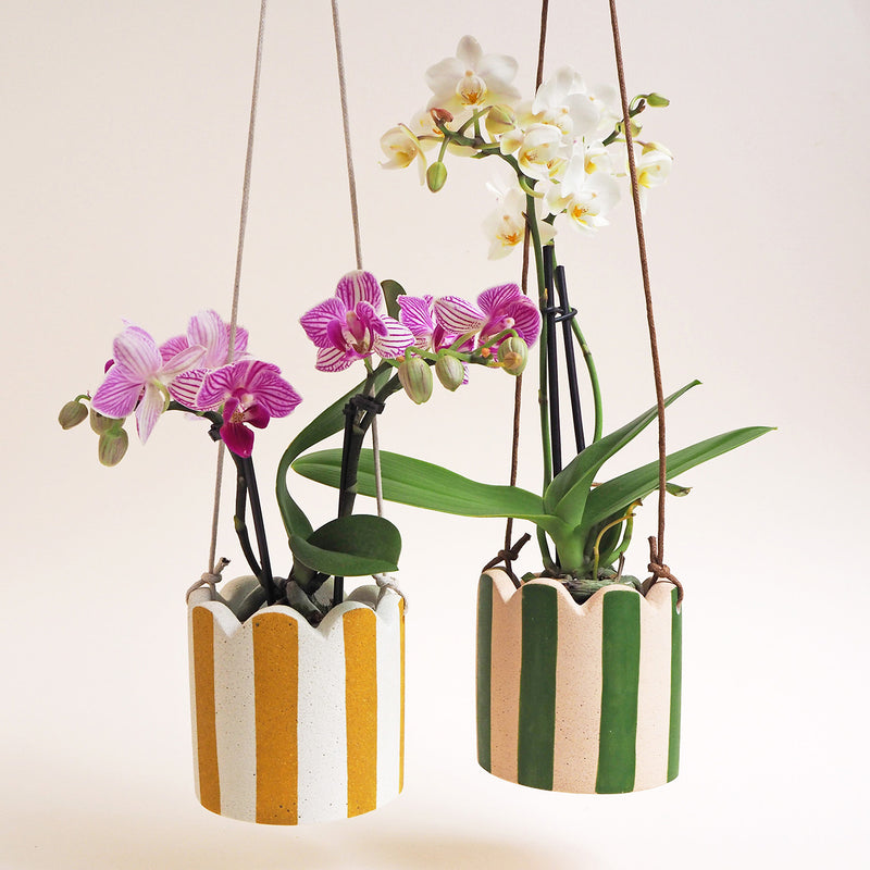 Small Stripy Hanging Pot - Choose Your Colours