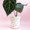 Large Splatter Plant Pots - Choose your colours