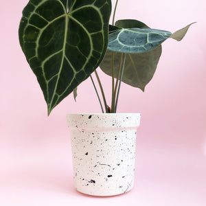 Large Splatter Plant Pots - Choose your colours