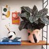 Round Brush Strokes Plant Pot