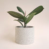 Large Granite Jesmonite Pot