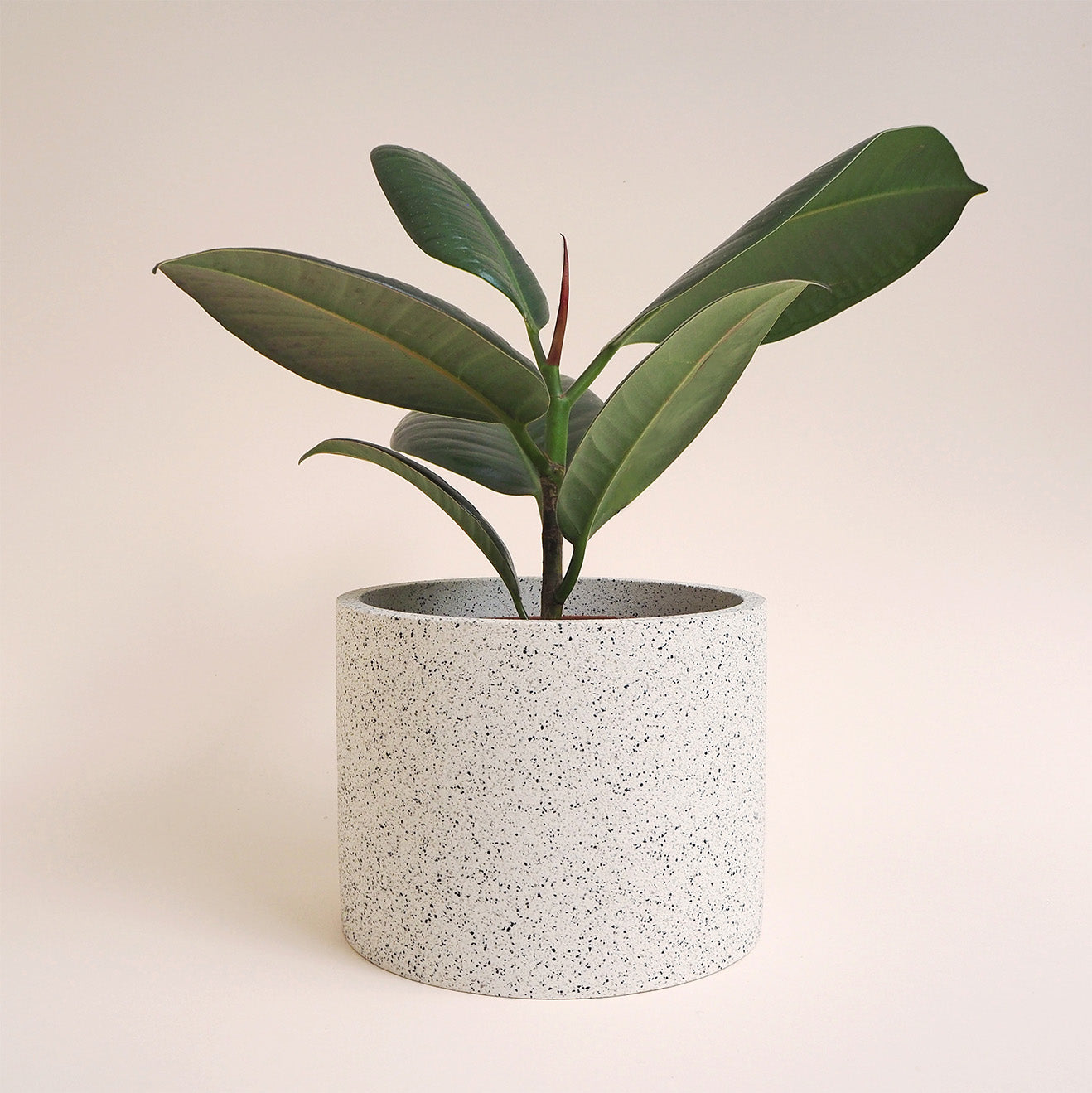 jesmonite plant pot Large Granite Jesmonite Pot – Hello Marilu