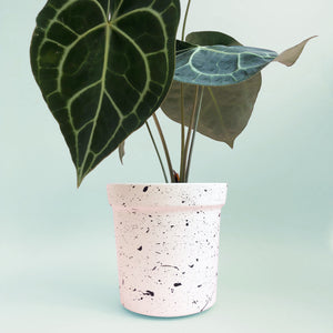 Large Splatter Plant Pots - Choose your colours