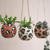 Leopard Print Round Hanging Planters