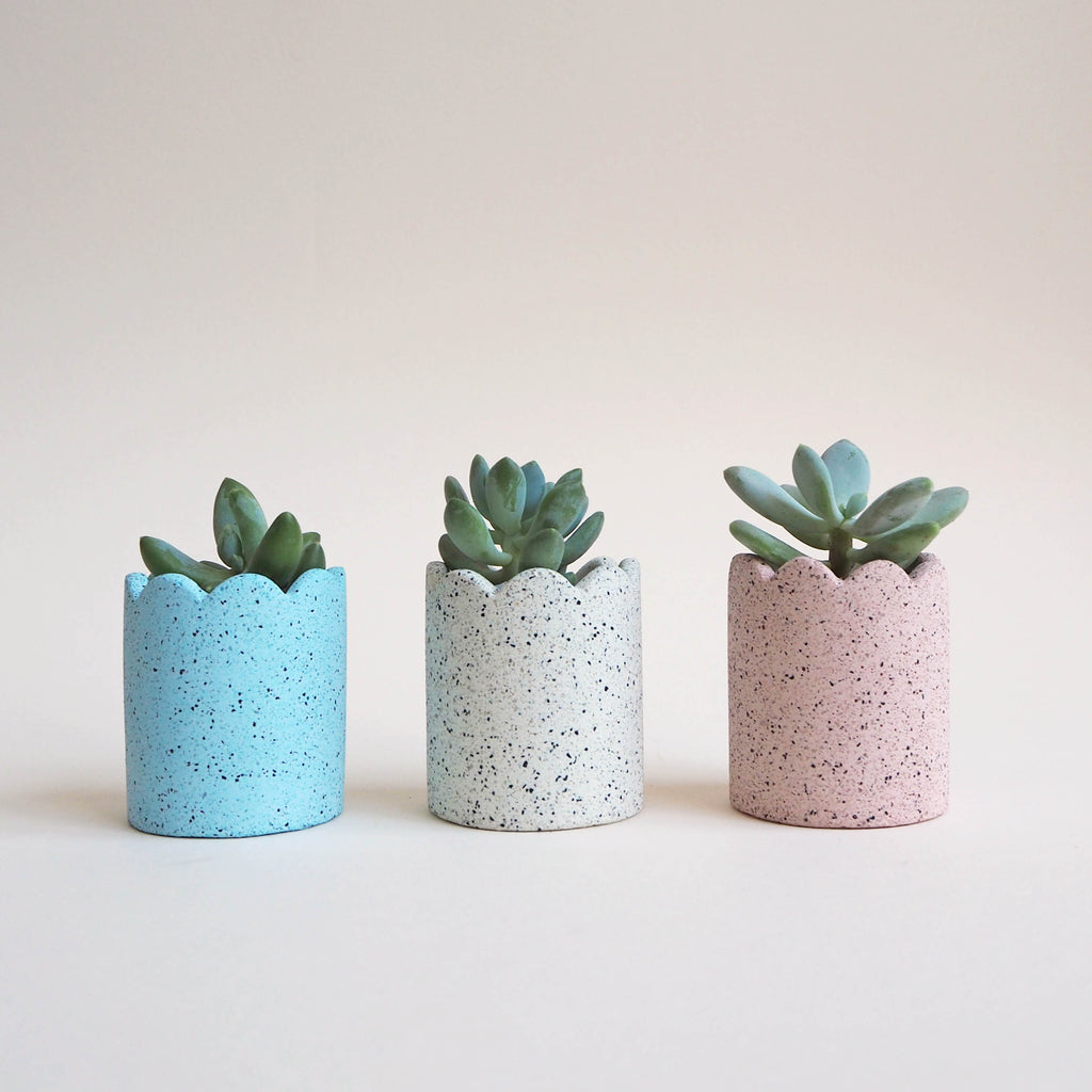 Mini Scalloped Pot