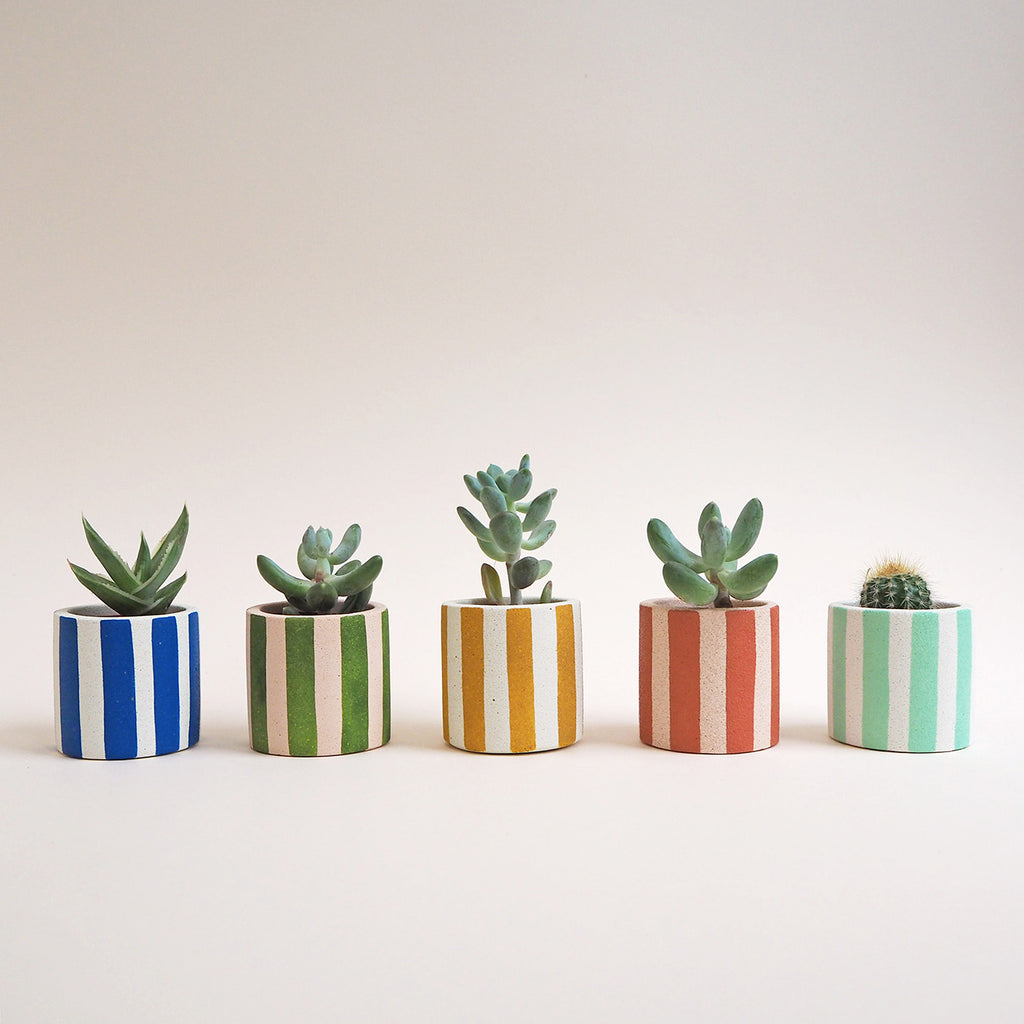 Mini Stripy Pot - Choose Your Colours
