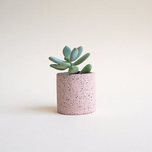 Mini Speckled Pot