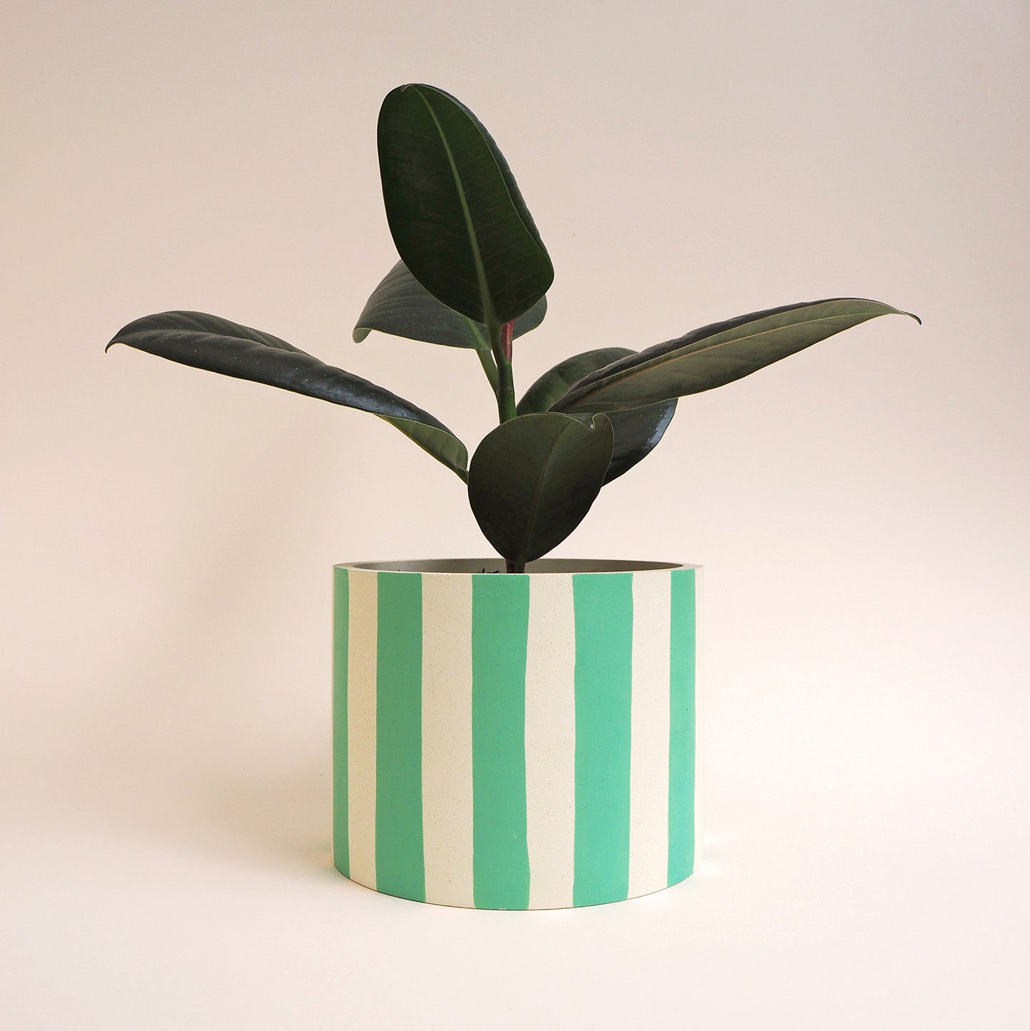 jesmonite plant pot Large Stripes or Squiggles Jesmonite Pot – Hello Marilu