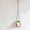 Gold Triangle and Leather Plant Hangers