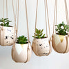 Gold Triangle and Leather Plant Hangers