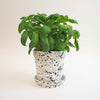 Medium Splatter Plant Pot & Dish - Choose your colours