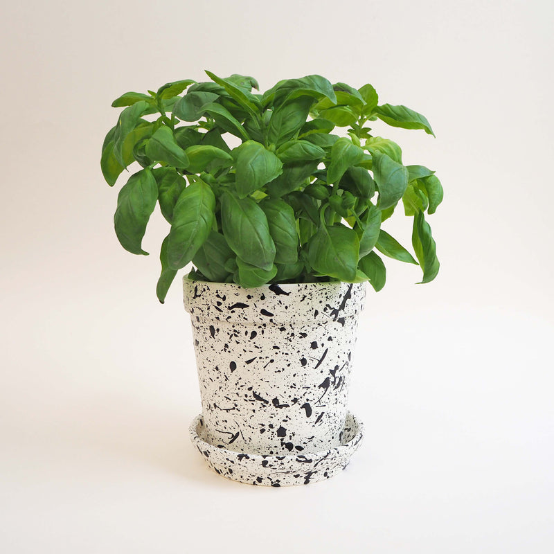 Medium Splatter Plant Pot & Dish - Choose your colours