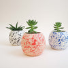 Round Splatter Plant Pot - Choose your colours