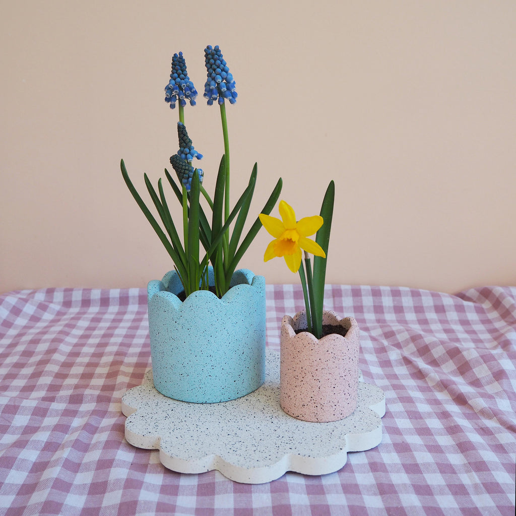 Small Scalloped Pot