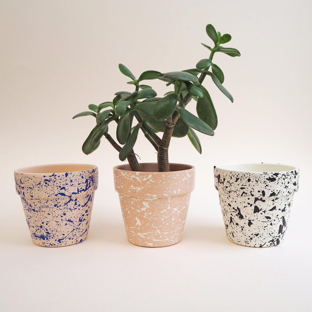 Medium Splatter Plant Pot - Choose your colours