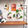 Round Brush Strokes Hanging Planters