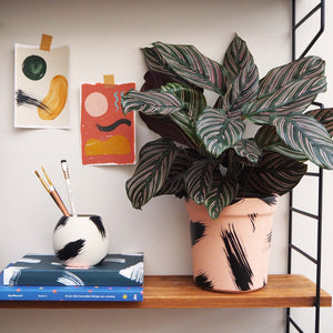 Large Brush Strokes Plant Pot
