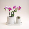 Small Granite Jesmonite Tray