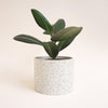 Large Granite Jesmonite Pot