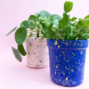 Large Splatter Plant Pots - Choose your colours