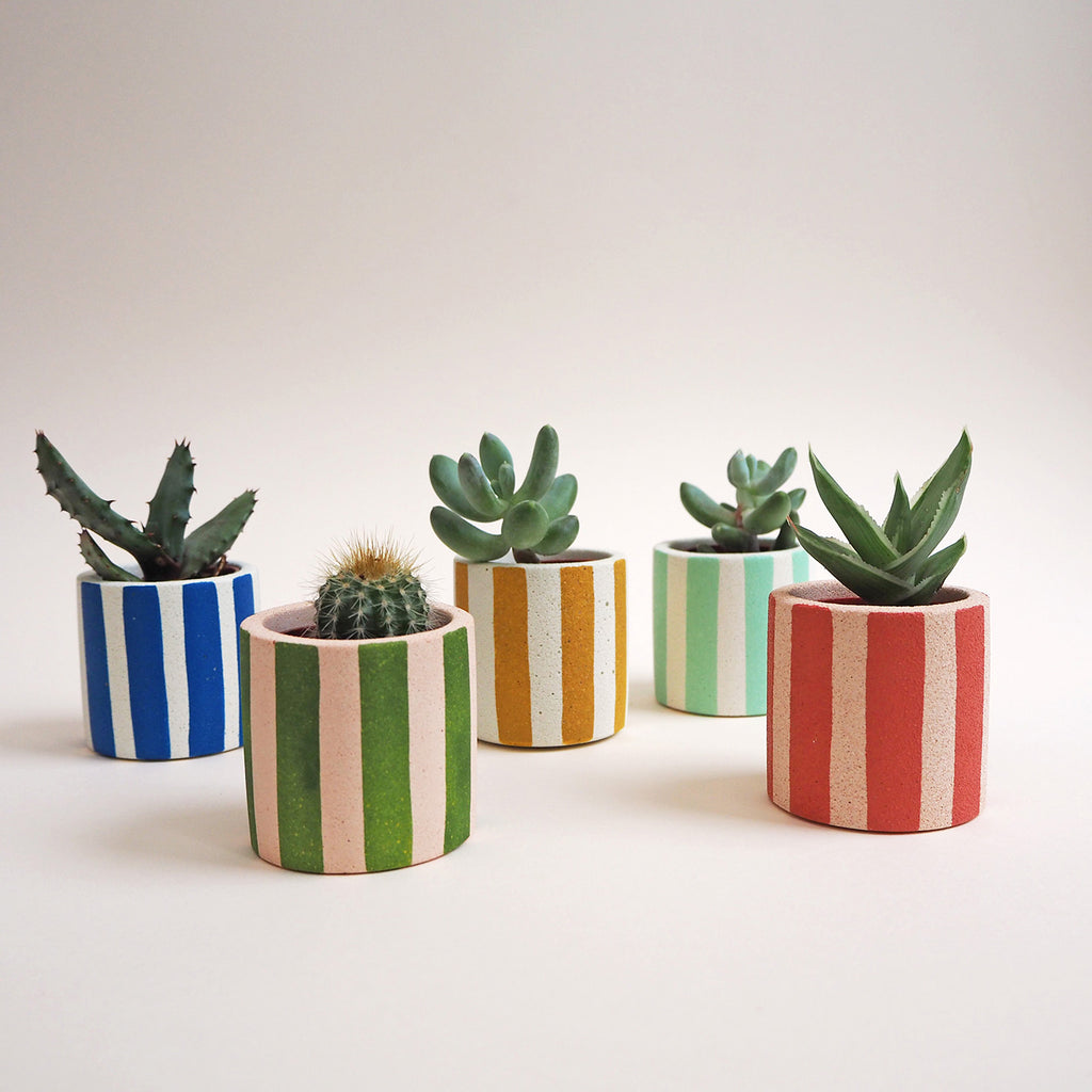Mini Stripy Pot - Choose Your Colours